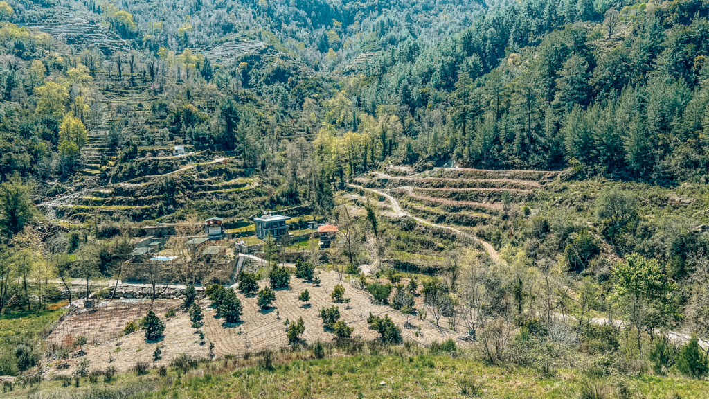 tyrkisk landsby liv, livet i Tyrkiet, livet i en tyrkisk landsby, bo i udlandet, anderledes livstil, vores tyrkiske landsby, på landet i Tyrkiet