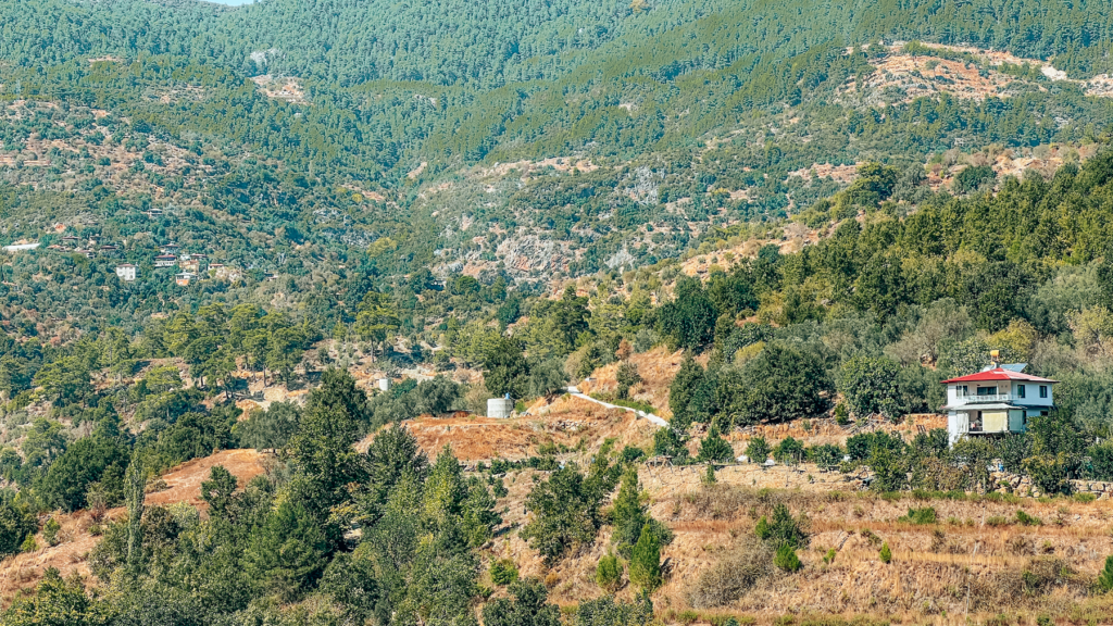 tyrkisk landsby liv, livet i Tyrkiet, livet i en tyrkisk landsby, bo i udlandet, anderledes livstil, vores tyrkiske landsby, på landet i Tyrkiet