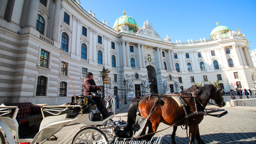 Sjove fakta om Wien, fun facts om Wien, overraskende fakta om Wien, kuriositeter om Wien, Wiens historie og kultur, unikke traditioner i Wien, sjove love i Wien, wienerkultur og kaffe, Wiens berømte caféer, klassisk musik og Mozart i Wien, sjove seværdigheder i Wien, mærkelige fakta om Wien, interessante steder i Wien, skjulte perler i Wien, Wiens gamle og nye traditioner, Østrigs hovedstad og dens hemmeligheder, Wiens sjoveste museer, Wiens historiske kuriositeter, usædvanlige oplevelser i Wien.
