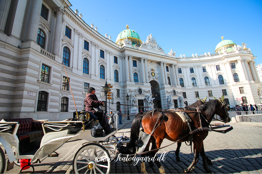 Sjove fakta om Wien, fun facts om Wien, overraskende fakta om Wien, kuriositeter om Wien, Wiens historie og kultur, unikke traditioner i Wien, sjove love i Wien, wienerkultur og kaffe, Wiens berømte caféer, klassisk musik og Mozart i Wien, sjove seværdigheder i Wien, mærkelige fakta om Wien, interessante steder i Wien, skjulte perler i Wien, Wiens gamle og nye traditioner, Østrigs hovedstad og dens hemmeligheder, Wiens sjoveste museer, Wiens historiske kuriositeter, usædvanlige oplevelser i Wien.
