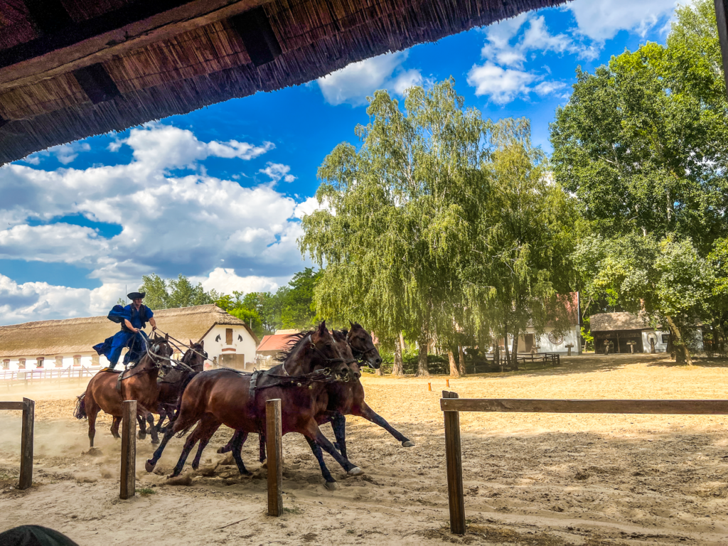 Csikós og Puszta, ungarsk hesteshow, traditionelle cowboys i Ungarn, hestekultur på Den Ungarske Puszta, seværdigheder i Ungarn, oplevelser på landet i Ungarn, Hortobágy Nationalpark, vilde heste og ridetraditioner, ungarske ryttere i folkedragt, unikke shows og opvisninger, kulturarv i Ungarn, hesteopdræt og dyrehold i Centraleuropa, must-see i det østlige Ungarn, autentiske rejseoplevelser, Csikós-opvisninger med pisk og akrobatik, ungarske traditioner og folkeliv.