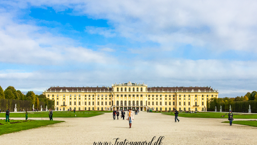 Schönbrunn Slottet, Schönbrunn Palace, seværdigheder i Wien, oplevelser i Østrig, historiske slotte i Østrig, UNESCO-verdensarv i Wien, Habsburgernes sommerresidens, kejserlige paladser i Wien, barok arkitektur i Østrig, must-see i Wien, turistattraktioner i Wien, guidede ture på Schönbrunn, Wiens berømte slotte, kulturarv i Østrig, kejserinde Maria Theresia, Mozart i Schönbrunn, de kejserlige haver, slotsturisme i Østrig, historie og kunst i Wien.