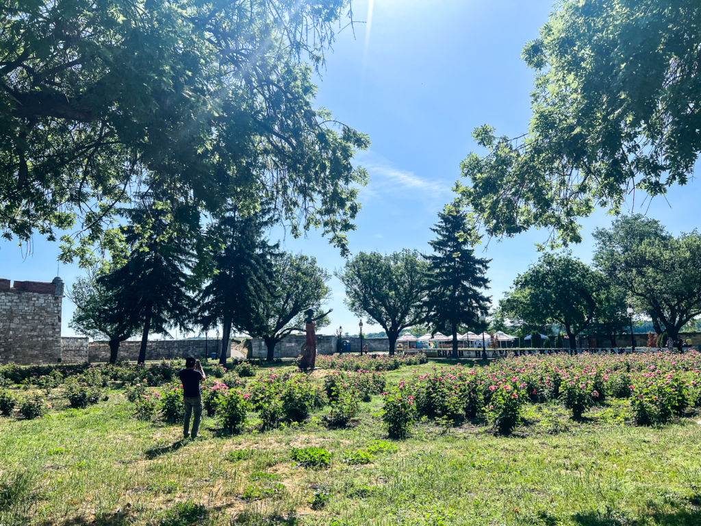 Vidin, Vidin Bulgarien, byer i Bulgarien, seværdigheder i Bulgarien, Flodkrydstogt, Donau flodkrydstogt, flodkrydstogt på Donau floden, Folkets hus i Bukarest, baba vida fortet,