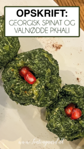 Georgisk pkhali, traditionelle georgiske forretter, spinat pkhali, rødbede pkhali, aubergine pkhali, valnøddebaserede retter fra Georgien, veganske specialiteter fra det georgiske køkken, farverige småretter med hvidløg og krydderier, klassiske forretter i en georgisk supra, sund og smagfuld georgisk mad, populære retter i Georgien, oplev det autentiske georgiske køkken med pkhali.