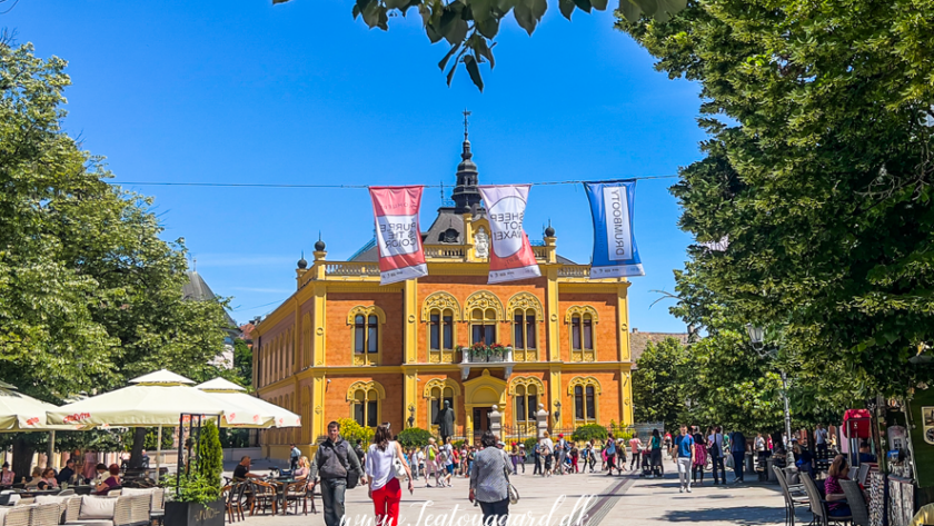 Rejseguide til Serbien, oplevelser i Serbien, seværdigheder i Beograd og Novi Sad, historiske byer i Serbien, Donau-floden og flodkrydstogt gennem Jernporten, naturparker og bjerge i Serbien, lokale markeder og serbisk madkultur, serbiske klostre og ortodokse kirker, kulturelle festivaler og musik i Serbien, rejsetips til Serbien, spændende rejsemål på Balkan, Serbien som feriedestination, Balkanrejse med fokus på kultur, historie og natur