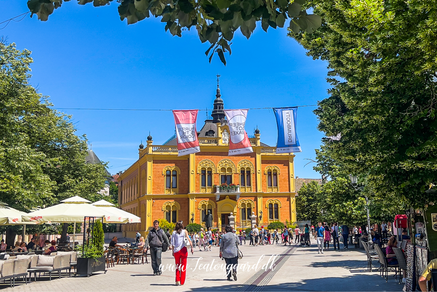 Rejseguide til Serbien, oplevelser i Serbien, seværdigheder i Beograd og Novi Sad, historiske byer i Serbien, Donau-floden og flodkrydstogt gennem Jernporten, naturparker og bjerge i Serbien, lokale markeder og serbisk madkultur, serbiske klostre og ortodokse kirker, kulturelle festivaler og musik i Serbien, rejsetips til Serbien, spændende rejsemål på Balkan, Serbien som feriedestination, Balkanrejse med fokus på kultur, historie og natur