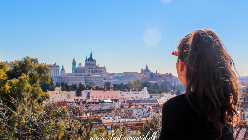 Seværdigheder i Madrid, oplevelser i Spaniens hovedstad, historiske og kulturelle attraktioner i Madrid, Prado-museet, Reina Sofía og Thyssen-Bornemisza, Palacio Real de Madrid, Puerta del Sol og Plaza Mayor, Retiro-parken og Palacio de Cristal, Santiago Bernabéu stadion, Gran Vía shopping og underholdning, Debod-templet, must-see attraktion i Madrid, seværdighed i Madrid centrum, must-see oplevelse i Madrid, must-see i Madrid, historiske og kulturelle oplevelser i Madrid centrum, Seværdigheder i Madrid, oplevelser i Spaniens hovedstad, Madrid rejseguide,