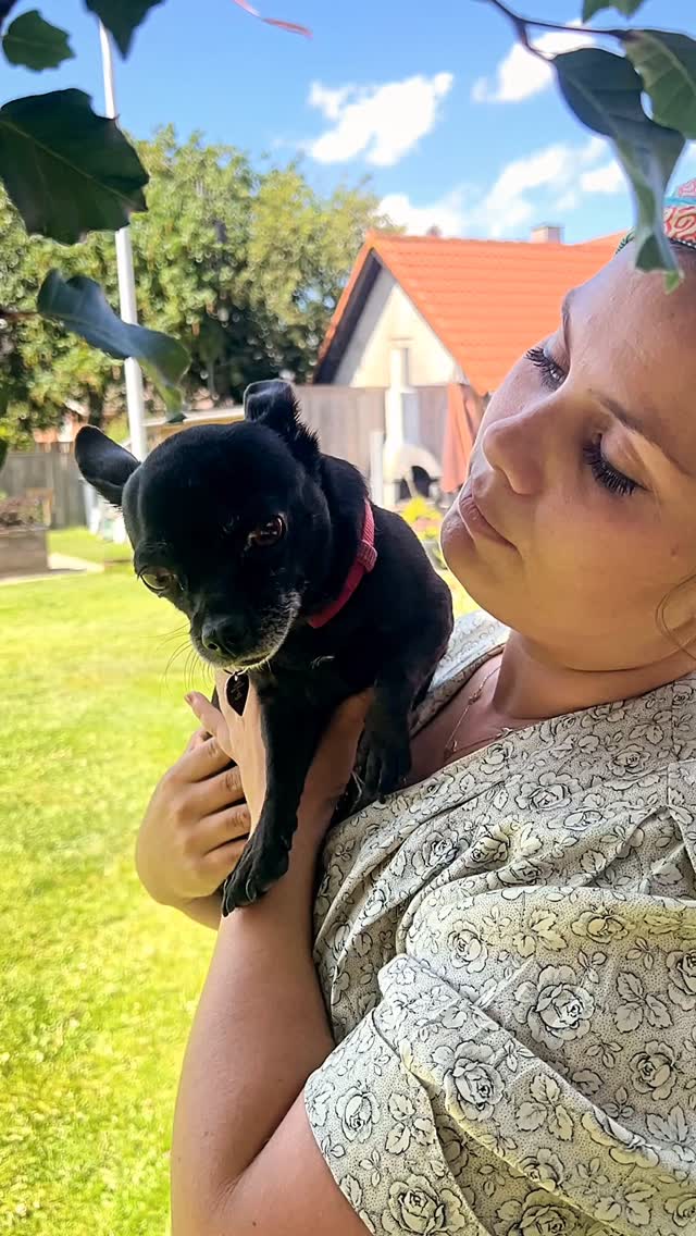 Back to when I had a dog, who wanted all my attention, but didn’t give any back 😂#spoiledrottendog #spoilyourdog #povdog