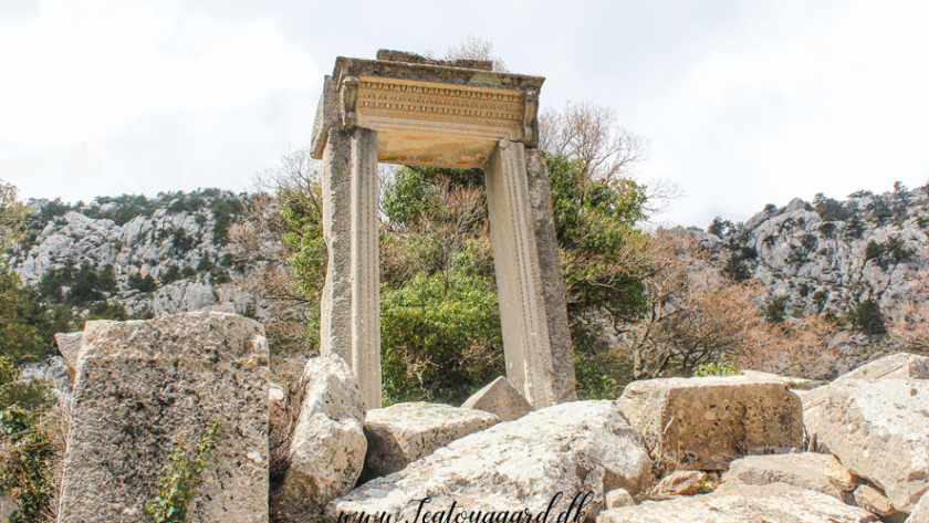 Termessos ruinby Antalya, antik by i Tyrkiet, bjergby i Taurusbjergene, historiske ruiner nær Antalya, oldtidsby i Tyrkiet, rejseoplevelser i Antalya, natur og historie i Tyrkiet, arkæologiske steder i Antalya, Tea Tougaard rejseblog Tyrkiet, skjulte perler i Antalya, vandretur til Termessos, antikke ruiner i bjergene, kulturrejse i Tyrkiet, gamle byer i Anatolien, græske og romerske ruiner, udsigt fra Termessos, historie og natur i Tyrkiet, oplevelser i Antalya 2025, rejseguide til Tyrkiets oldtid, Tea Tougaard oplever Tyrkiet, historiske steder i Middelhavsregionen, kultur og eventyrrejse i Antalya