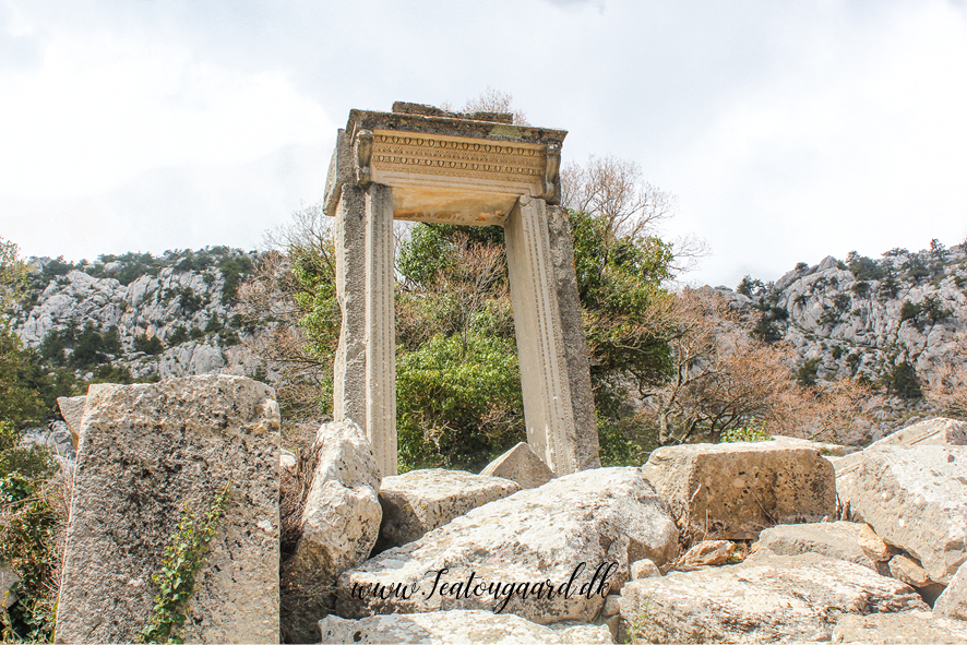 Termessos ruinby Antalya, antik by i Tyrkiet, bjergby i Taurusbjergene, historiske ruiner nær Antalya, oldtidsby i Tyrkiet, rejseoplevelser i Antalya, natur og historie i Tyrkiet, arkæologiske steder i Antalya, Tea Tougaard rejseblog Tyrkiet, skjulte perler i Antalya, vandretur til Termessos, antikke ruiner i bjergene, kulturrejse i Tyrkiet, gamle byer i Anatolien, græske og romerske ruiner, udsigt fra Termessos, historie og natur i Tyrkiet, oplevelser i Antalya 2025, rejseguide til Tyrkiets oldtid, Tea Tougaard oplever Tyrkiet, historiske steder i Middelhavsregionen, kultur og eventyrrejse i Antalya