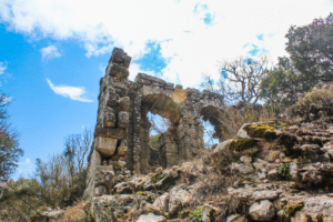 Termessos ruinby Antalya, antik by i Tyrkiet, bjergby i Taurusbjergene, historiske ruiner nær Antalya, oldtidsby i Tyrkiet, rejseoplevelser i Antalya, natur og historie i Tyrkiet, arkæologiske steder i Antalya, Tea Tougaard rejseblog Tyrkiet, skjulte perler i Antalya, vandretur til Termessos, antikke ruiner i bjergene, kulturrejse i Tyrkiet, gamle byer i Anatolien, græske og romerske ruiner, udsigt fra Termessos, historie og natur i Tyrkiet, oplevelser i Antalya 2025, rejseguide til Tyrkiets oldtid, Tea Tougaard oplever Tyrkiet, historiske steder i Middelhavsregionen, kultur og eventyrrejse i Antalya