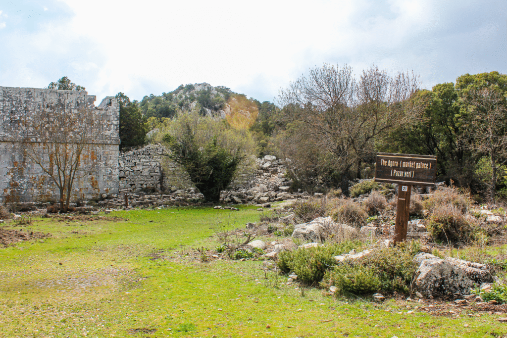 Termessos ruinby Antalya, antik by i Tyrkiet, bjergby i Taurusbjergene, historiske ruiner nær Antalya, oldtidsby i Tyrkiet, rejseoplevelser i Antalya, natur og historie i Tyrkiet, arkæologiske steder i Antalya, Tea Tougaard rejseblog Tyrkiet, skjulte perler i Antalya, vandretur til Termessos, antikke ruiner i bjergene, kulturrejse i Tyrkiet, gamle byer i Anatolien, græske og romerske ruiner, udsigt fra Termessos, historie og natur i Tyrkiet, oplevelser i Antalya 2025, rejseguide til Tyrkiets oldtid, Tea Tougaard oplever Tyrkiet, historiske steder i Middelhavsregionen, kultur og eventyrrejse i Antalya