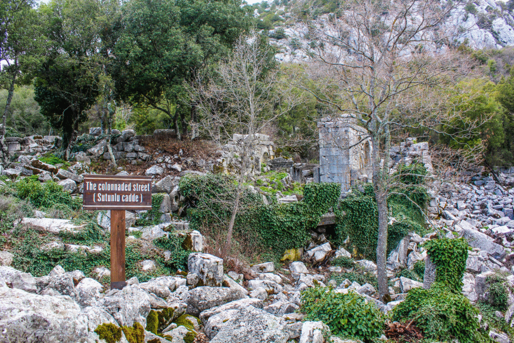 Termessos ruinby Antalya, antik by i Tyrkiet, bjergby i Taurusbjergene, historiske ruiner nær Antalya, oldtidsby i Tyrkiet, rejseoplevelser i Antalya, natur og historie i Tyrkiet, arkæologiske steder i Antalya, Tea Tougaard rejseblog Tyrkiet, skjulte perler i Antalya, vandretur til Termessos, antikke ruiner i bjergene, kulturrejse i Tyrkiet, gamle byer i Anatolien, græske og romerske ruiner, udsigt fra Termessos, historie og natur i Tyrkiet, oplevelser i Antalya 2025, rejseguide til Tyrkiets oldtid, Tea Tougaard oplever Tyrkiet, historiske steder i Middelhavsregionen, kultur og eventyrrejse i Antalya