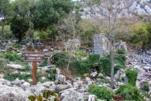 Termessos ruinby Antalya, antik by i Tyrkiet, bjergby i Taurusbjergene, historiske ruiner nær Antalya, oldtidsby i Tyrkiet, rejseoplevelser i Antalya, natur og historie i Tyrkiet, arkæologiske steder i Antalya, Tea Tougaard rejseblog Tyrkiet, skjulte perler i Antalya, vandretur til Termessos, antikke ruiner i bjergene, kulturrejse i Tyrkiet, gamle byer i Anatolien, græske og romerske ruiner, udsigt fra Termessos, historie og natur i Tyrkiet, oplevelser i Antalya 2025, rejseguide til Tyrkiets oldtid, Tea Tougaard oplever Tyrkiet, historiske steder i Middelhavsregionen, kultur og eventyrrejse i Antalya