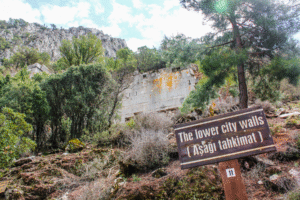 Termessos ruinby Antalya, antik by i Tyrkiet, bjergby i Taurusbjergene, historiske ruiner nær Antalya, oldtidsby i Tyrkiet, rejseoplevelser i Antalya, natur og historie i Tyrkiet, arkæologiske steder i Antalya, Tea Tougaard rejseblog Tyrkiet, skjulte perler i Antalya, vandretur til Termessos, antikke ruiner i bjergene, kulturrejse i Tyrkiet, gamle byer i Anatolien, græske og romerske ruiner, udsigt fra Termessos, historie og natur i Tyrkiet, oplevelser i Antalya 2025, rejseguide til Tyrkiets oldtid, Tea Tougaard oplever Tyrkiet, historiske steder i Middelhavsregionen, kultur og eventyrrejse i Antalya