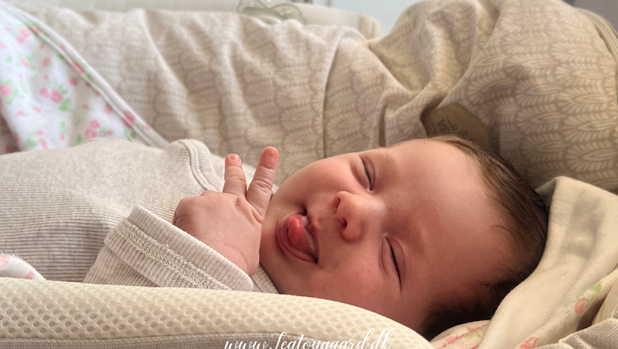 Alt-tekst: Dansk-tyrkisk baby, tosproget opvækst, baby med dansk og tyrkisk baggrund, dansk-tyrkisk familie, multikulturel baby, baby i tyrkisk tøj, dansk-tyrkisk kulturarv, babyopvækst i to kulturer, dansk-tyrkisk identitet, kærlighed mellem kulturer, tyrkisk baby og dansk familie.