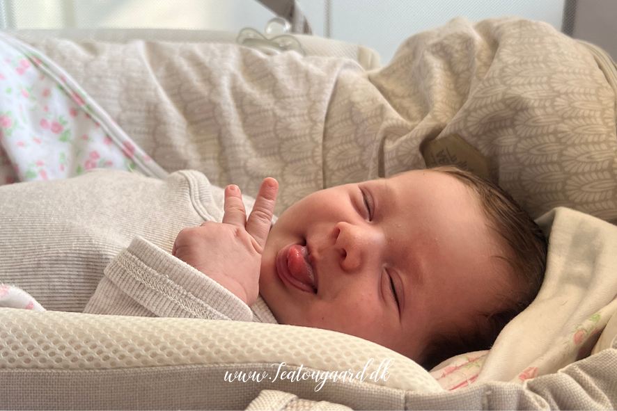 Alt-tekst: Dansk-tyrkisk baby, tosproget opvækst, baby med dansk og tyrkisk baggrund, dansk-tyrkisk familie, multikulturel baby, baby i tyrkisk tøj, dansk-tyrkisk kulturarv, babyopvækst i to kulturer, dansk-tyrkisk identitet, kærlighed mellem kulturer, tyrkisk baby og dansk familie.