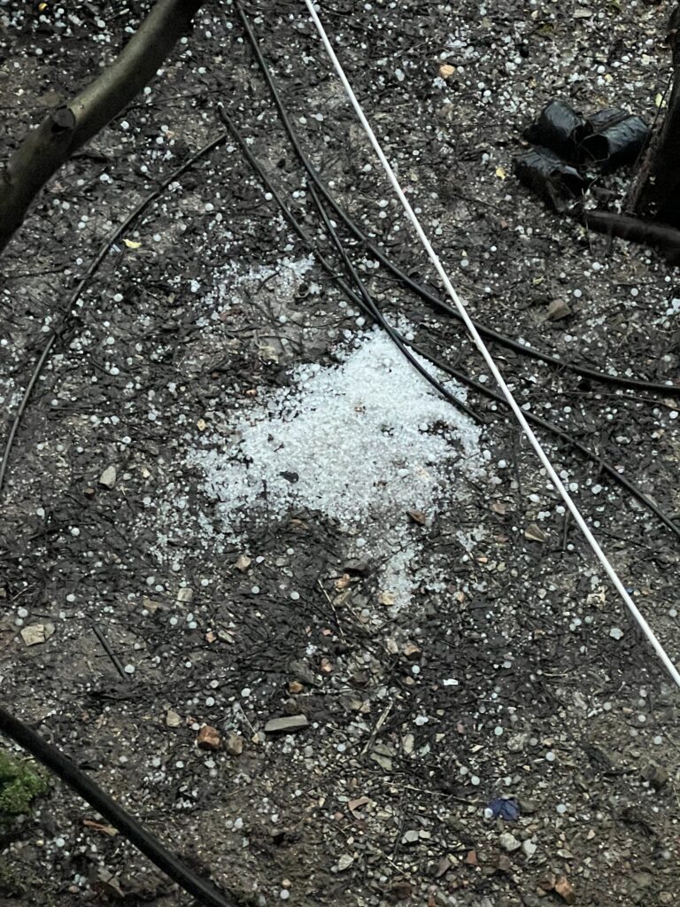 Haglstorm i tyrkisk landsby, stormvejr Tyrkiet, ekstremt vejr i Tyrkiet, kraftig hagl i landsby, naturfænomener Tyrkiet, tyrkisk landsby i uvær, vejrfænomener Tyrkiet, store hagl, hagl og ødelæggelser, haglstorm 2025 Tyrkiet, tyrkiske landsbyer i stormvejr, klimaforandringer i Tyrkiet, uventet storm i landsby, dramatiske vejrforhold Tyrkiet, hagl på størrelse med valnødder, hagl på hustage, ødelagte afgrøder af hagl, tyrkiske bønders udfordringer med vejret, hagl og stormskader, hagl i bjergområder Tyrkiet, klima i Anatolien, storm i Tyrkiet, naturkatastrofer i tyrkiske landsbyer, hagl og regn i Tyrkiet, usædvanligt vejr i Tyrkiet, hagl i små byer, vejrkatastrofer 2025, tyrkisk hverdag i stormvejr