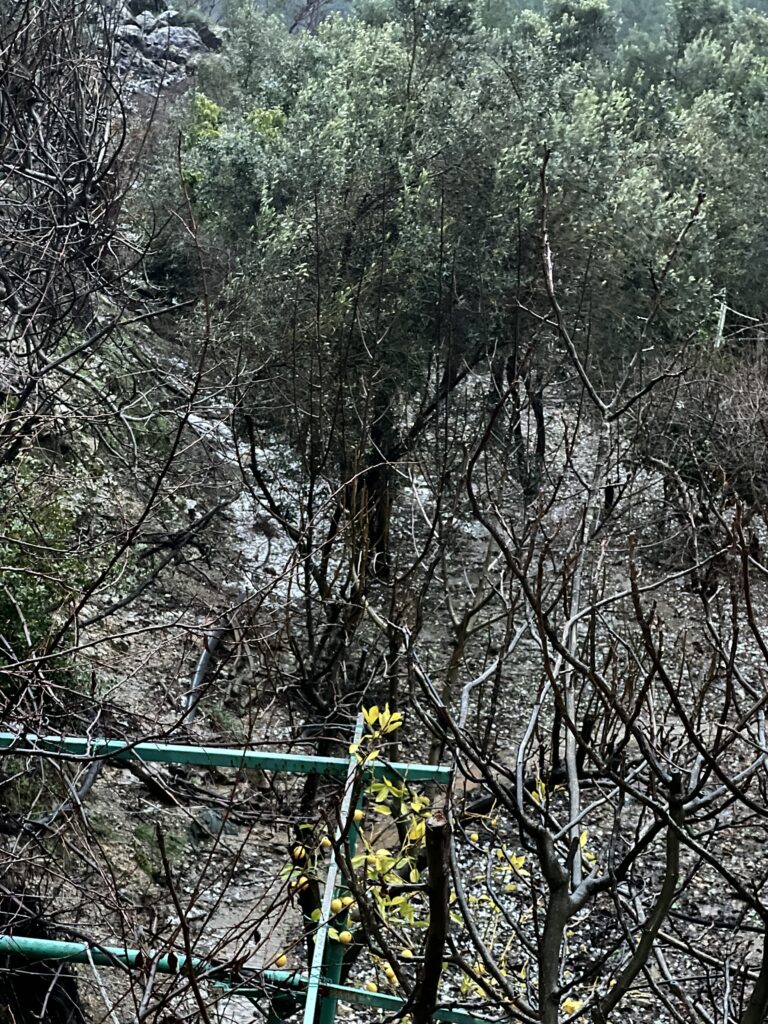 Haglstorm i tyrkisk landsby, stormvejr Tyrkiet, ekstremt vejr i Tyrkiet, kraftig hagl i landsby, naturfænomener Tyrkiet, tyrkisk landsby i uvær, vejrfænomener Tyrkiet, store hagl, hagl og ødelæggelser, haglstorm 2025 Tyrkiet, tyrkiske landsbyer i stormvejr, klimaforandringer i Tyrkiet, uventet storm i landsby, dramatiske vejrforhold Tyrkiet, hagl på størrelse med valnødder, hagl på hustage, ødelagte afgrøder af hagl, tyrkiske bønders udfordringer med vejret, hagl og stormskader, hagl i bjergområder Tyrkiet, klima i Anatolien, storm i Tyrkiet, naturkatastrofer i tyrkiske landsbyer, hagl og regn i Tyrkiet, usædvanligt vejr i Tyrkiet, hagl i små byer, vejrkatastrofer 2025, tyrkisk hverdag i stormvejr