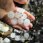 Haglstorm i tyrkisk landsby, stormvejr Tyrkiet, ekstremt vejr i Tyrkiet, kraftig hagl i landsby, naturfænomener Tyrkiet, tyrkisk landsby i uvær, vejrfænomener Tyrkiet, store hagl, hagl og ødelæggelser, haglstorm 2025 Tyrkiet, tyrkiske landsbyer i stormvejr, klimaforandringer i Tyrkiet, uventet storm i landsby, dramatiske vejrforhold Tyrkiet, hagl på størrelse med valnødder, hagl på hustage, ødelagte afgrøder af hagl, tyrkiske bønders udfordringer med vejret, hagl og stormskader, hagl i bjergområder Tyrkiet, klima i Anatolien, storm i Tyrkiet, naturkatastrofer i tyrkiske landsbyer, hagl og regn i Tyrkiet, usædvanligt vejr i Tyrkiet, hagl i små byer, vejrkatastrofer 2025, tyrkisk hverdag i stormvejr