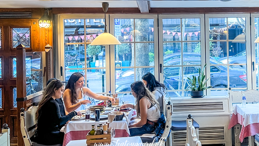 Albansk mad, traditionelle albanske retter, balkansk køkken, lokale specialiteter fra Albanien, albansk gastronomi, grillede retter, frisklavet byrek, albansk tærte med spinat og ost, tavë kosi med lam og yoghurt, farverige grøntsager, middelhavsinspireret mad, lokale råvarer i Albanien, autentisk madoplevelse i Albanien, restauranter i Albanien, madkultur på Balkan, hjemmelavet albansk mad, traditionelle opskrifter fra Albanien, street food i Albanien, smag af Albanien, madoplevelser på rejse i Albanien