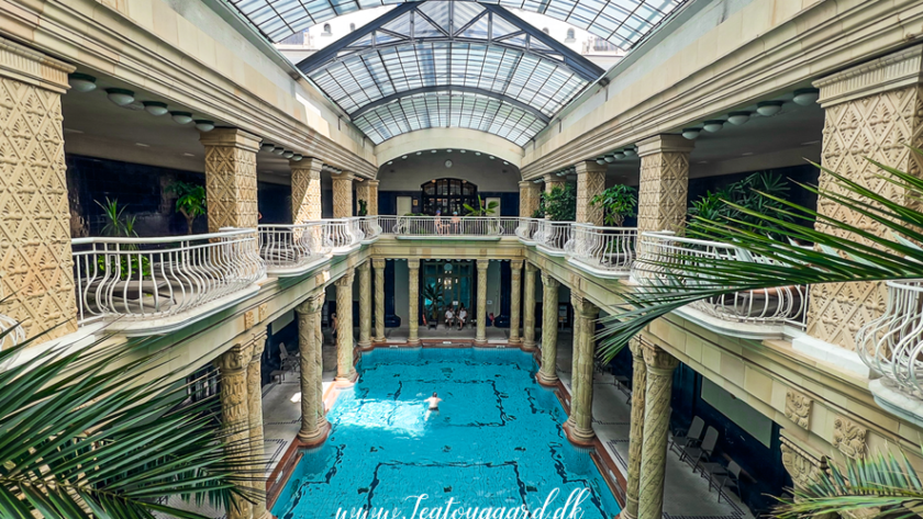Gellért badet, Gellért termiske bad, termalbad i Budapest, spaoplevelser i Budapest, seværdigheder i Budapest, oplevelser i Budapest, wellness i Budapest, varme kilder i Budapest, historiske bade i Budapest, afslapning i Budapest, kurbade i Budapest, art nouveau arkitektur i Budapest, helbredende bade i Budapest, must-see i Budapest, luksus spa i Budapest, tyrkiske bade i Budapest, termiske bade i Ungarn.